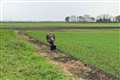 Runaway emu being chased by drivers in 4x4s – police