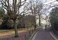 Park toilet shut after tree falls on it