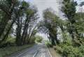 Firefighters tackling tree blaze near main road