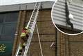 Fire brigade rescues bird ensnared on Morrisons roof