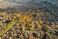 Early rewilding site secured for nature after ‘outpouring’ of public support