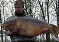 Record-breaking monster carp netted