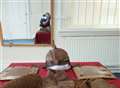 Rare set of Sikh armour to be restored 