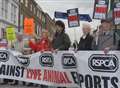 Demo as live animal exports switch to another port