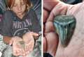 Mum finds rare shark tooth fossil