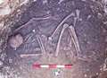 Iron Age skeleton uncovered 