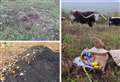 Nature reserves damaged by anti-social behaviour and metal detecting