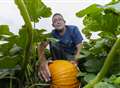 Pick Your Own pumpkins