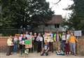 Probe amid protests over tree felling