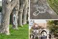 Yobs 'disrespect' cemetery with phallic graffiti