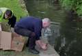 Security guards rescue ducklings lost in high street