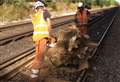 Railway line re-opens after train hits tree