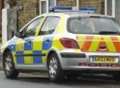 Boy held after black-headed gull is shot dead