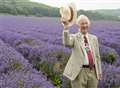 Take a tour of the lavender fields