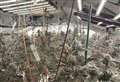 Huge cannabis farm found inside village home