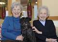 Care home hires unlikely boss - a miniature schnauzer