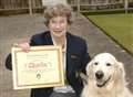 Charlie the retriever is bowled over!