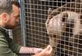 Emotional footage of brown bear after UK-first brain operation