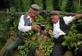 Festival toasts the annual hop harvest