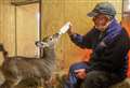 Rare fawn thrives after being hand raised by keepers