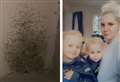 School backs family's plea to leave mouldy flat for sake of boy's health