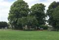 Girl's hair 'set on fire' with lighter at park