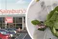 Shopper ‘disgusted’ after finding ‘poo-like item’ in Sainsbury’s salad