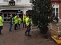 Audi ploughs into Christmas tree