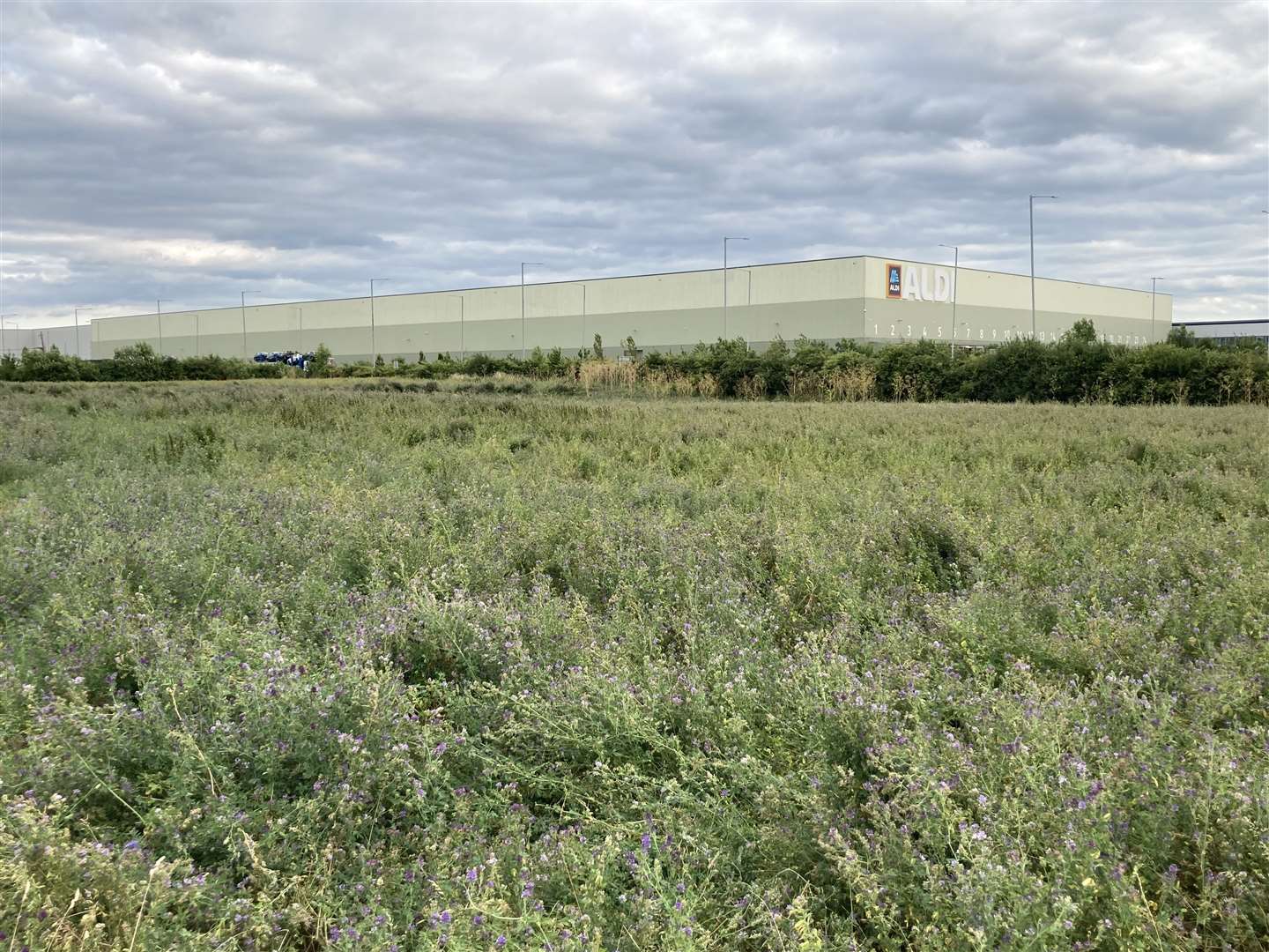 Land at Neats Court, Queenborough, where the new Aldi supermarket is planned. Picture: John Nurden