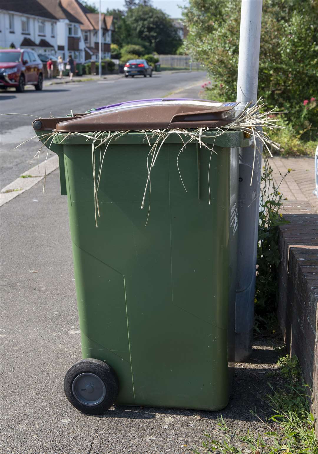 Bins will now have to be emptied and the waste taken to the dump. Photo: Mark Hourahane (49464715)