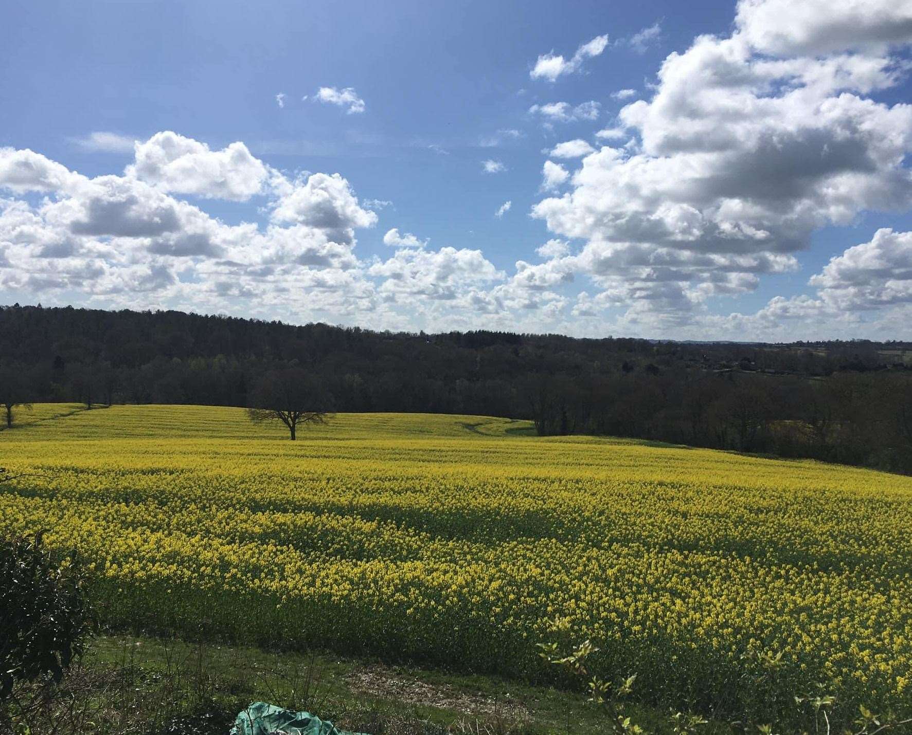 The tap room was located in Flimwell, Goudhurst on the Kent/Sussex border. Photo: Wanderlust Street Food