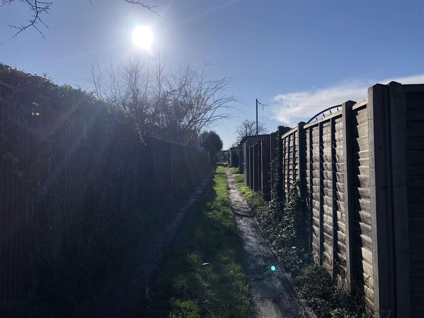 The alleyway to their garage