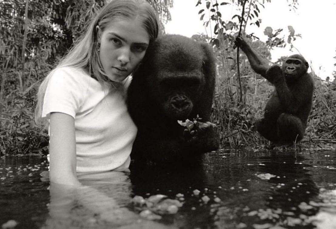 Freya Aspinall poses with two of the gorillas at the Aspinall Foundation's Congo reservation. Pic:@damian_aspinall/Instagram