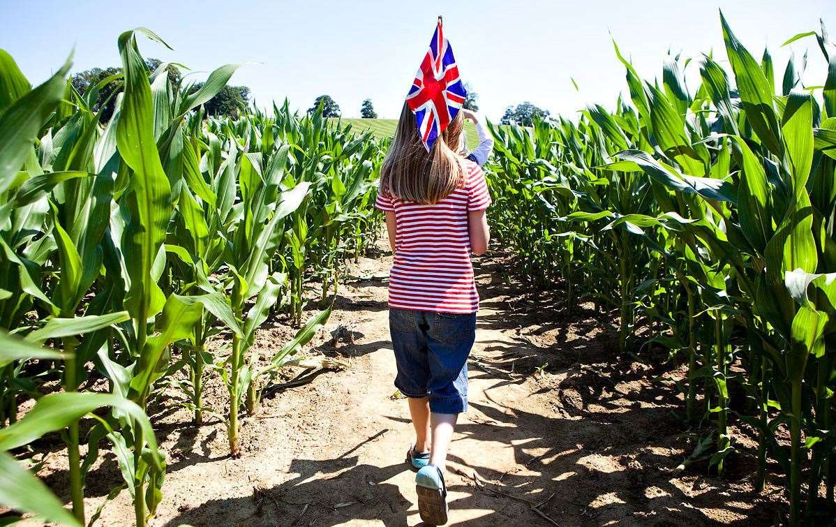 The Maize Maze at Penshurst Place