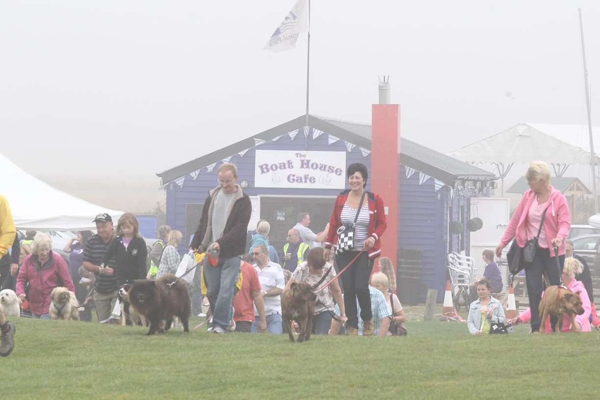 Enthusiastic dog walkers start a three-mile walk for Wags and Walkies fundraiser