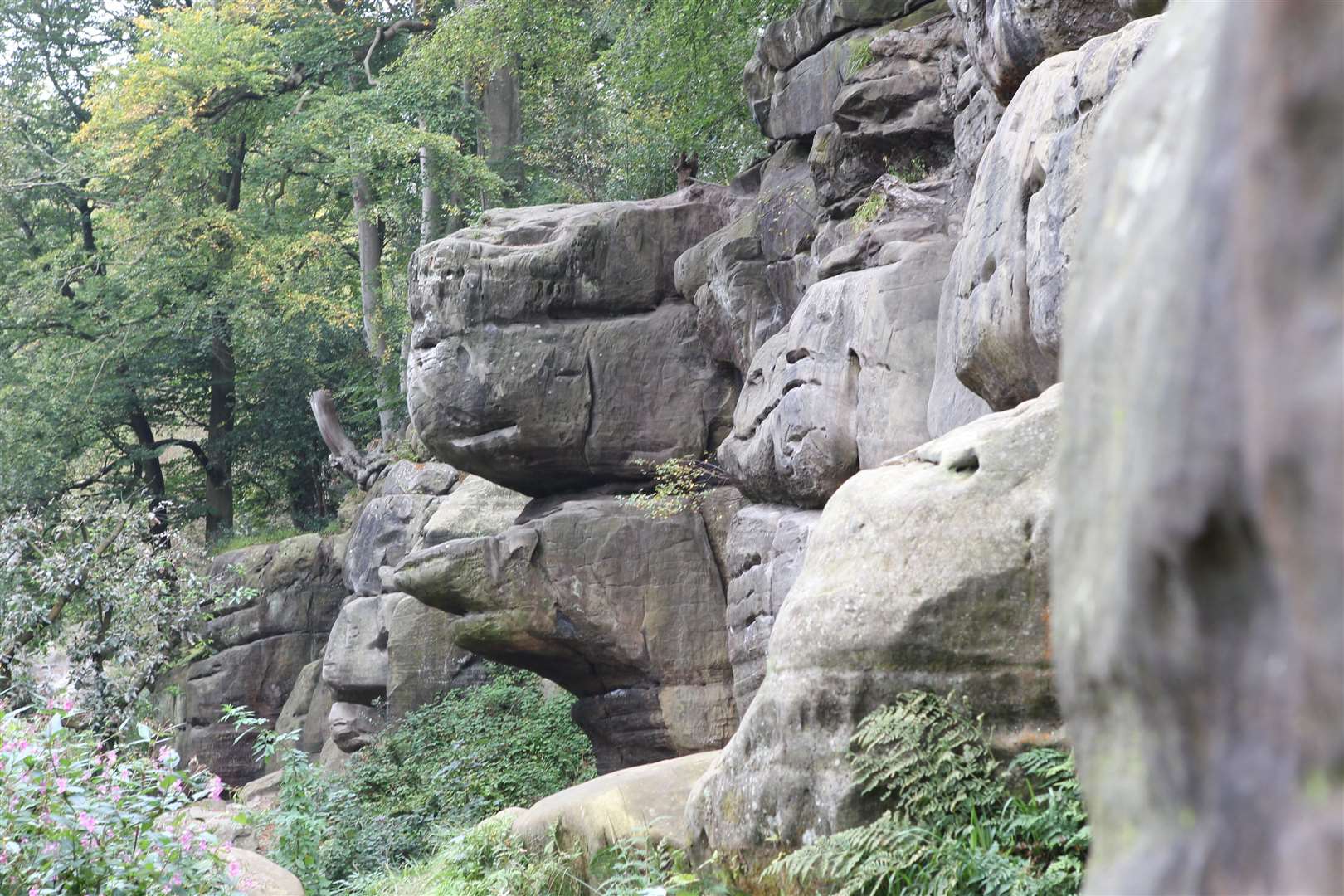 Harrison's Rock in Groombridge is a favourites for rock climbers in Kent Picture: John Westhrop