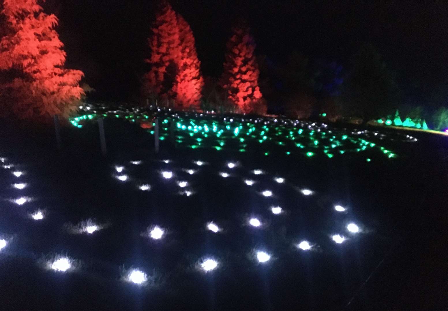 Christmas at Bedgebury has numerous light displays