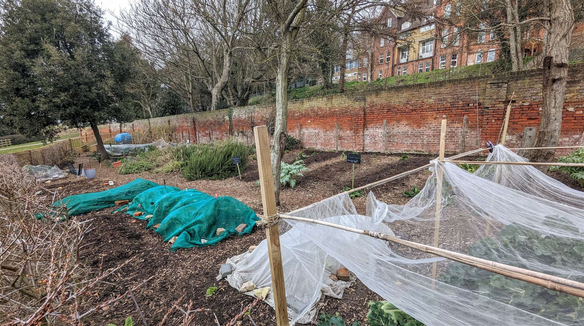 All kinds of crops are grown in the Sandgate community garden