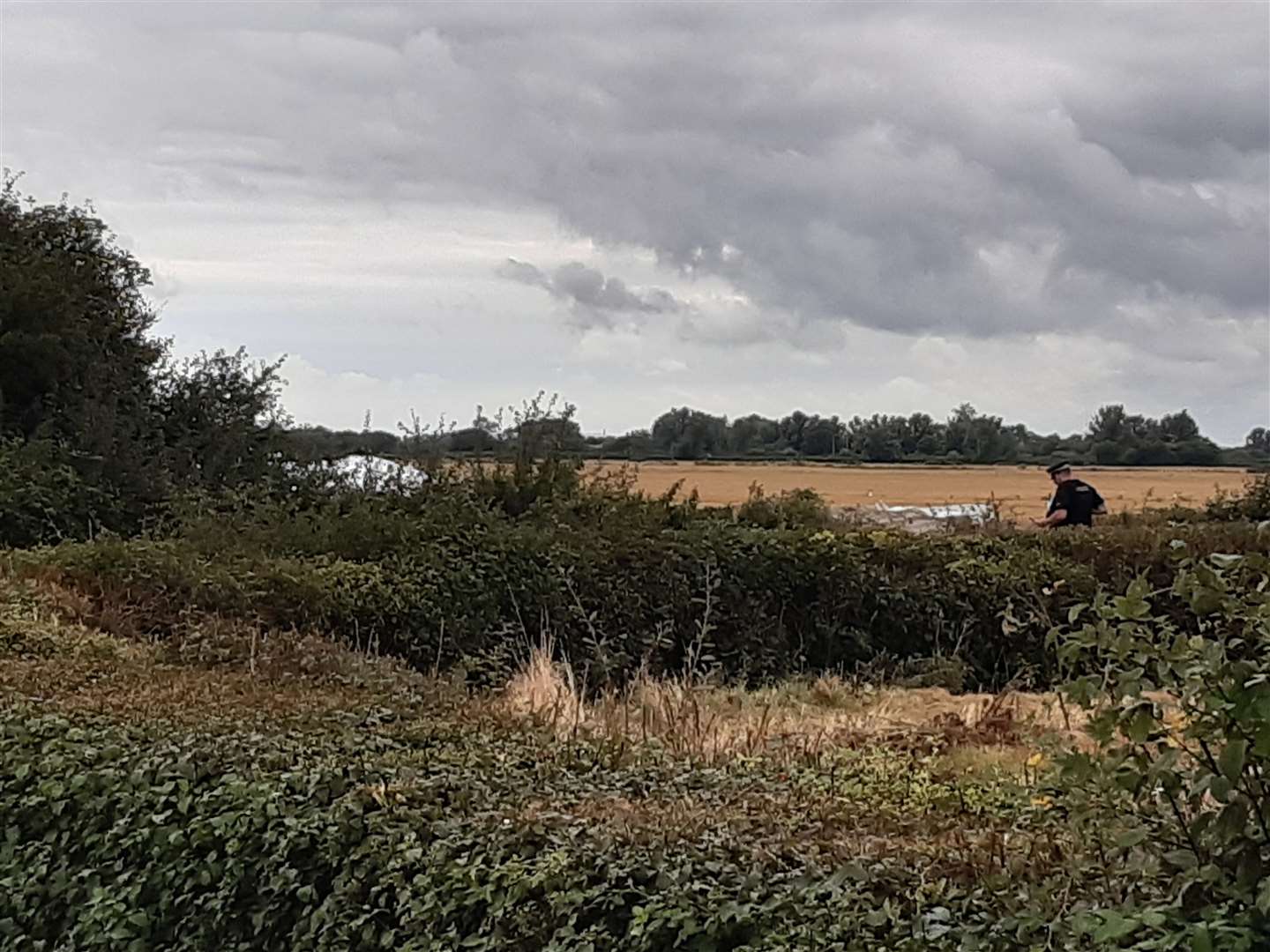 Police inspecting the site where the white plane crash landed