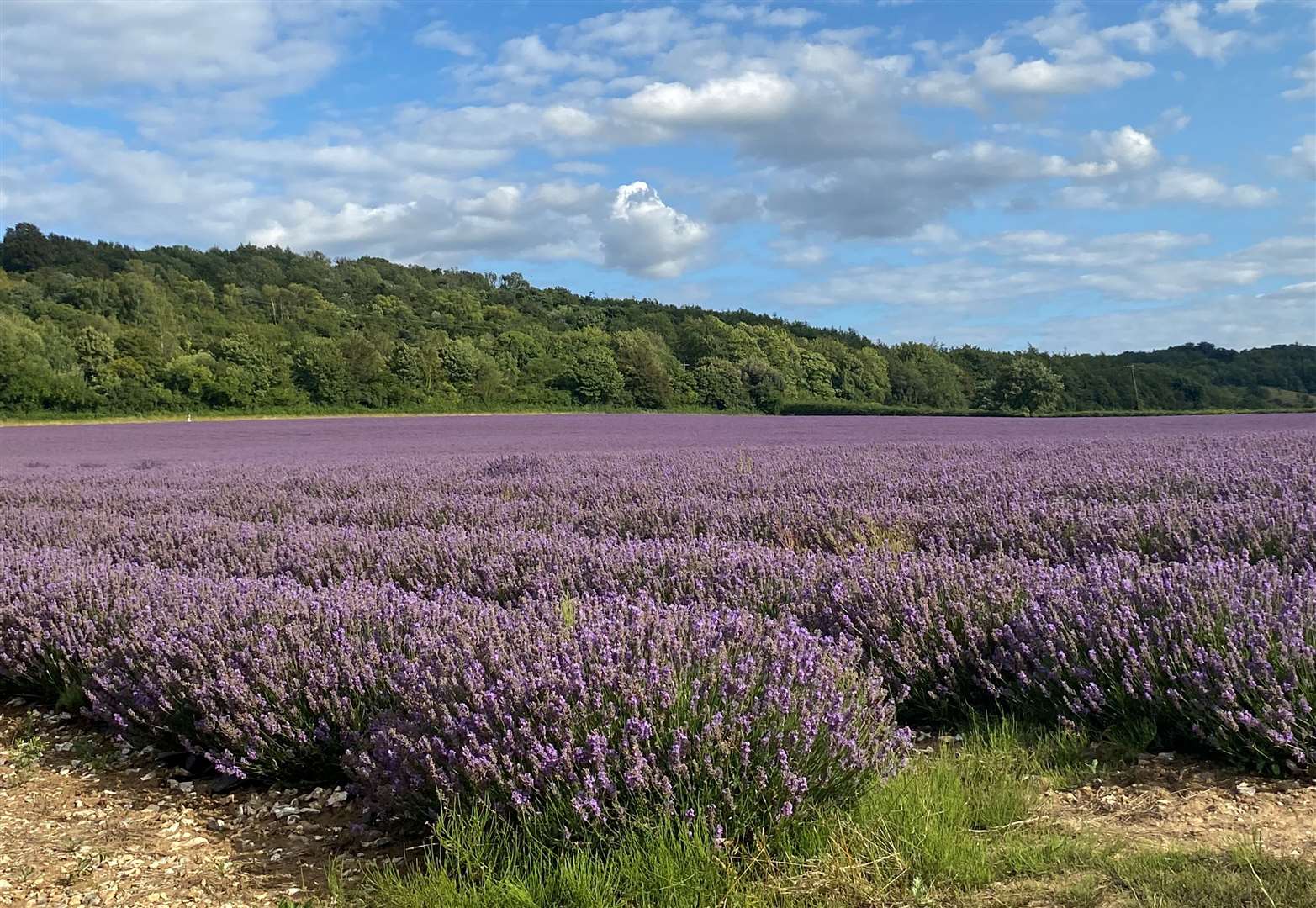 Visitors can book guided tours and bring your own picnics during the summer months