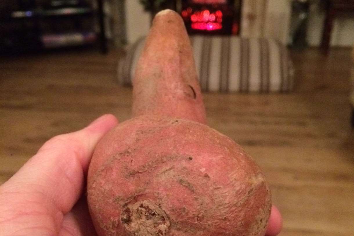 The oddly-shaped spud