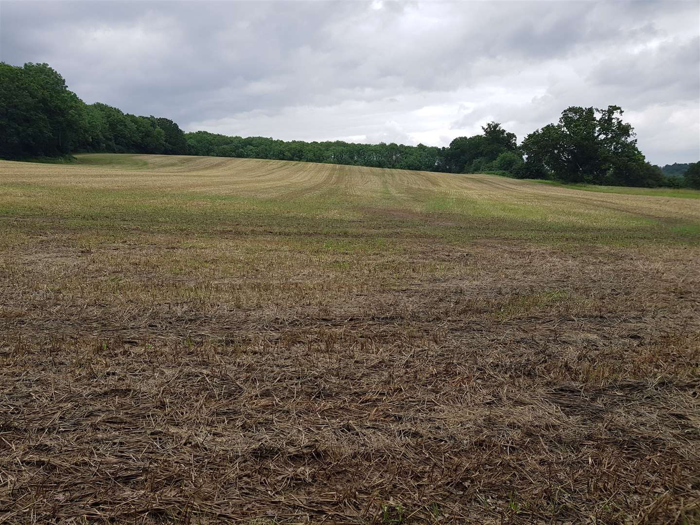 The field where Mr Blumer crashed his plane in Nettlestead Green, in fields behind The Hop Pole Inn pub