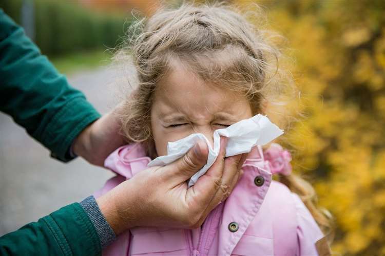 The Met Office says there could be some uncomfortable days ahead for sufferers. Image: iStock.