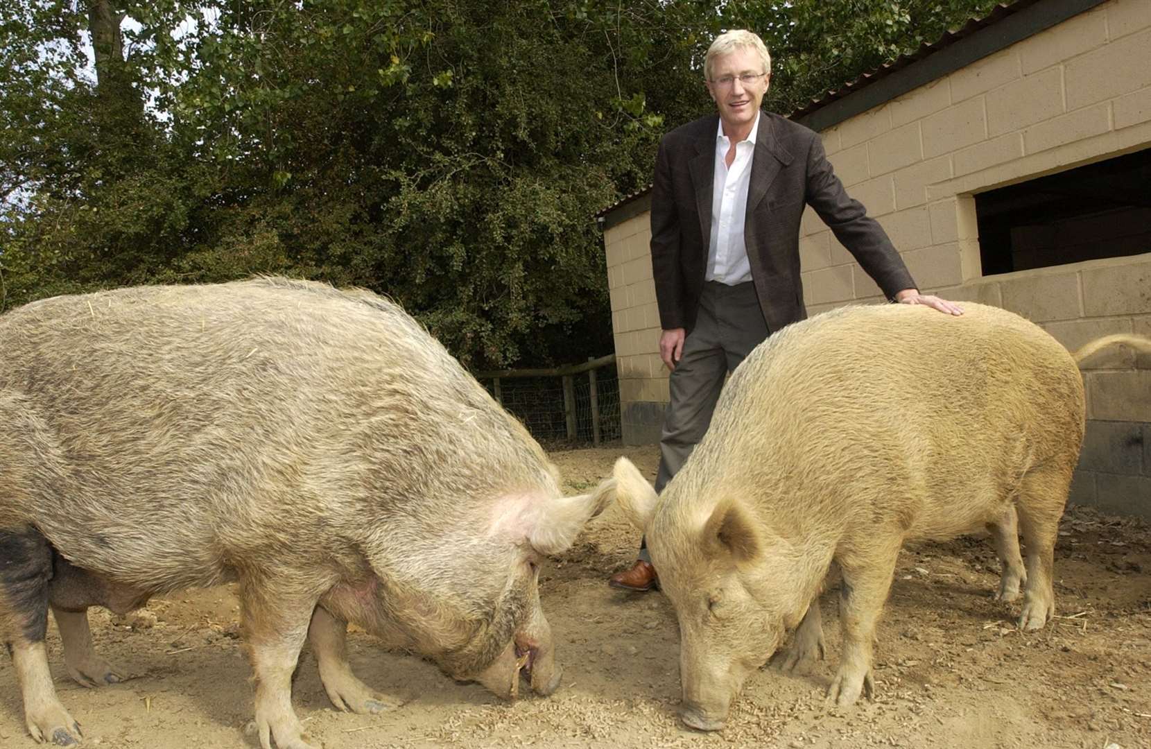 Entertainer Paul O'Grady visits the Tamworth Two. Picture: Derek Stingemore