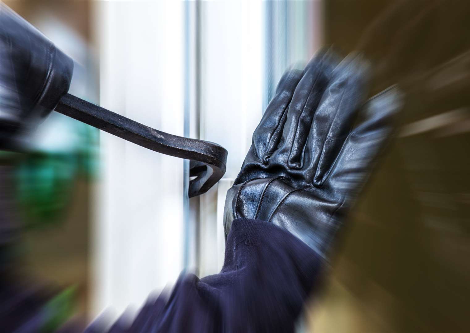 Volunteers at the store say the money stolen during the break-in could have bought them 2,000 cans of cat food. Stock picture