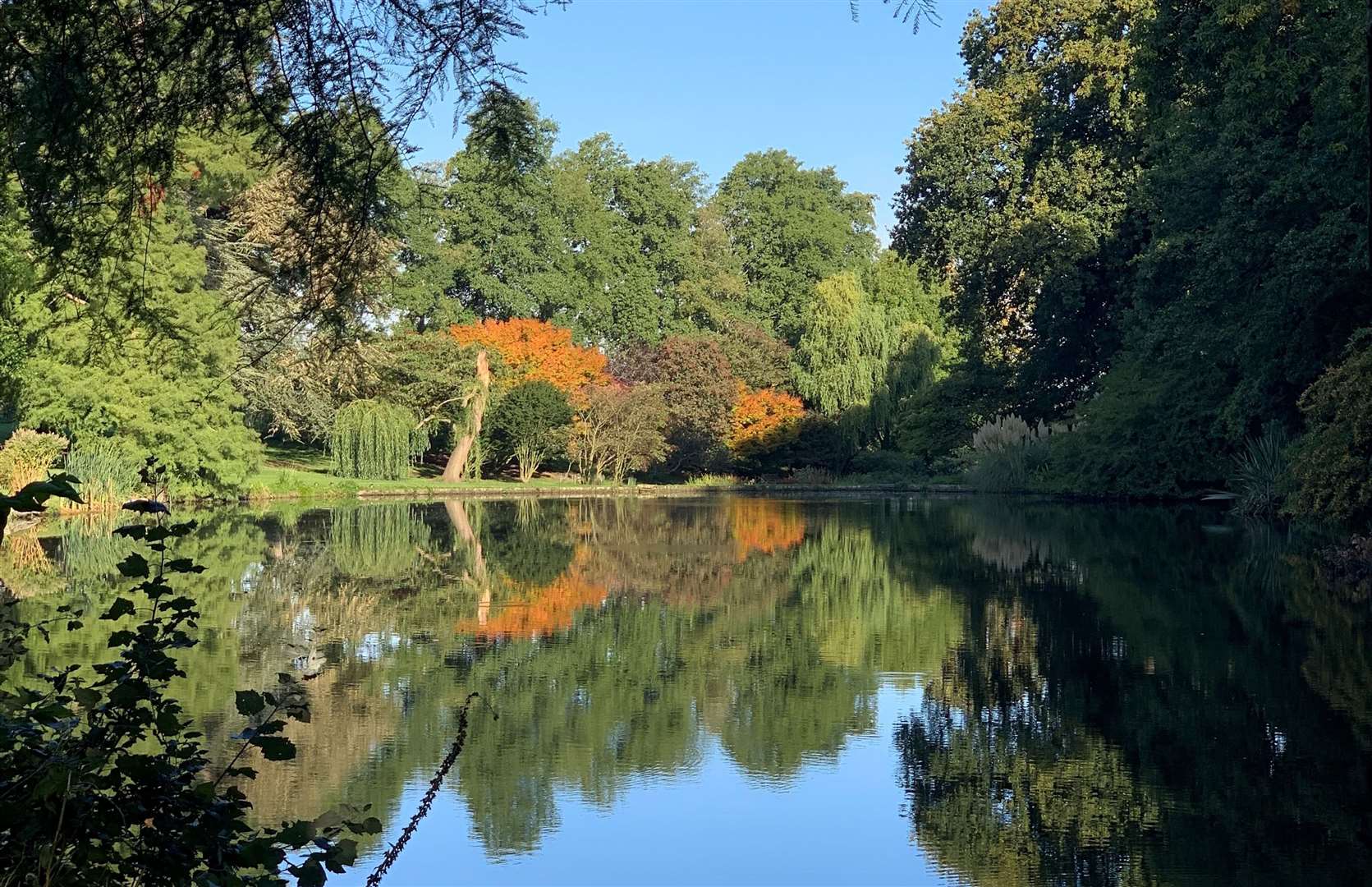 The lake and surrounding area at Mount Ephraim in Faversham. Picture: Mount Ephraim