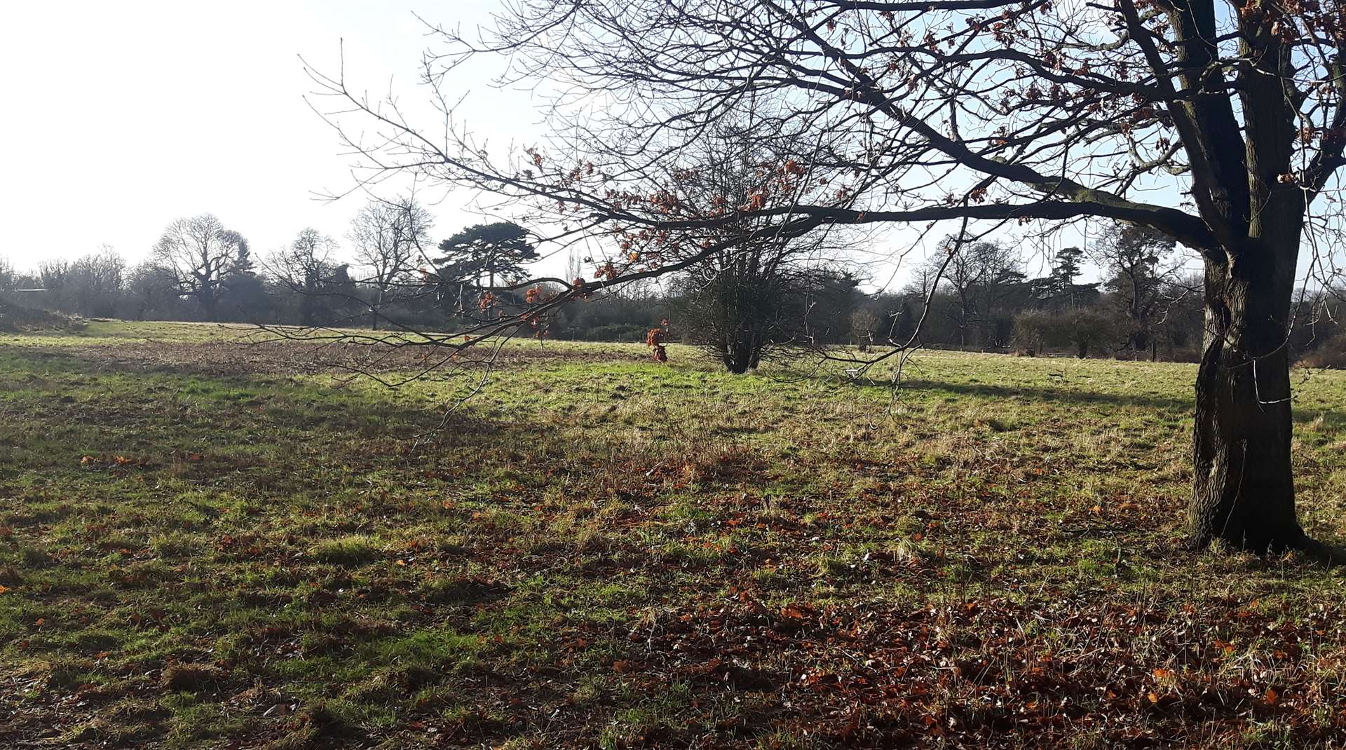 The Lib Dems want more Local Nature Reserves like this one, Hayle Park in Tovil