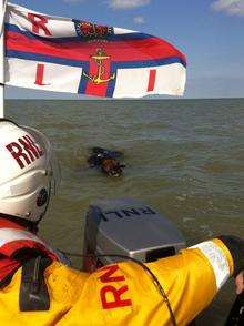 Sea horse rescued