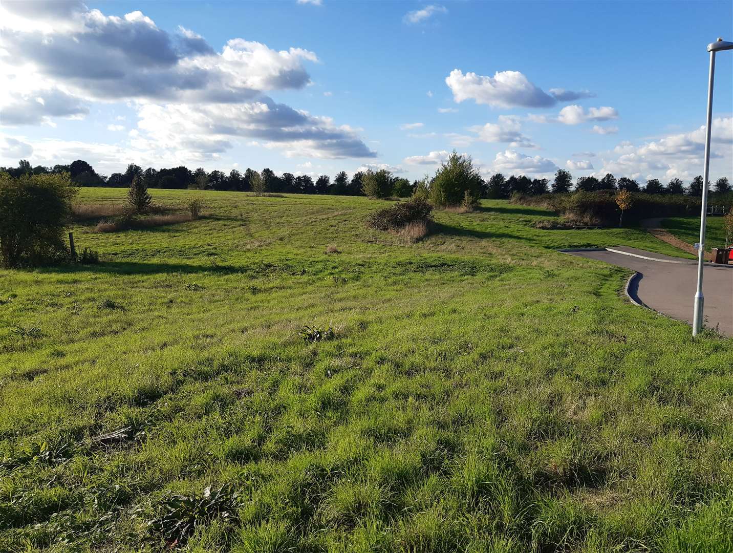 The land at Bunyards Farm which could be declared a Village Green