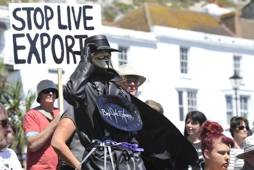 The latest demonstration against live animal exports at Dover docks.